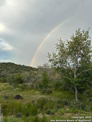 165 Antler Falls Run Property Photo 45