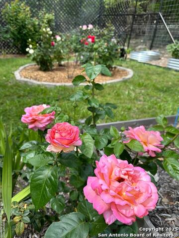 165 Antler Falls Run Property Photo 46