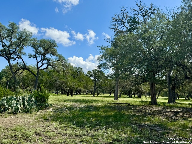 101 Patterson Property Photo 1