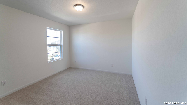 3006 Heidfeld Lane Property Photo 13