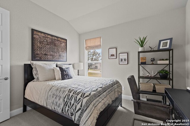 346 Lily Pass Property Photo 23