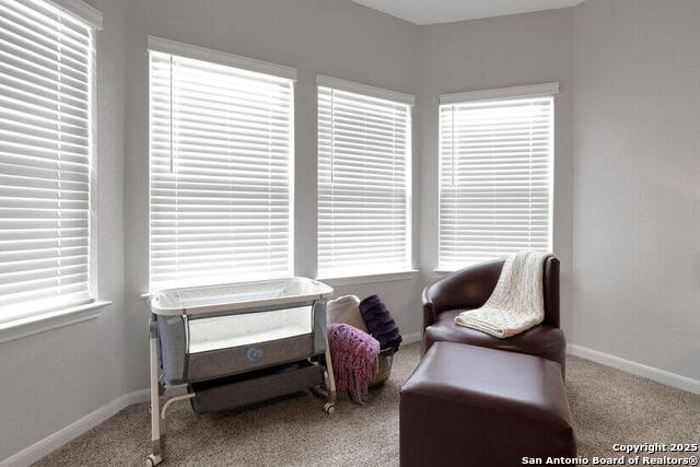 13107 Braxon Property Photo 11