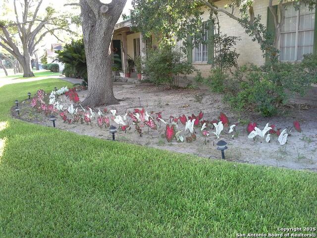 40 Encino Loma Property Photo 9
