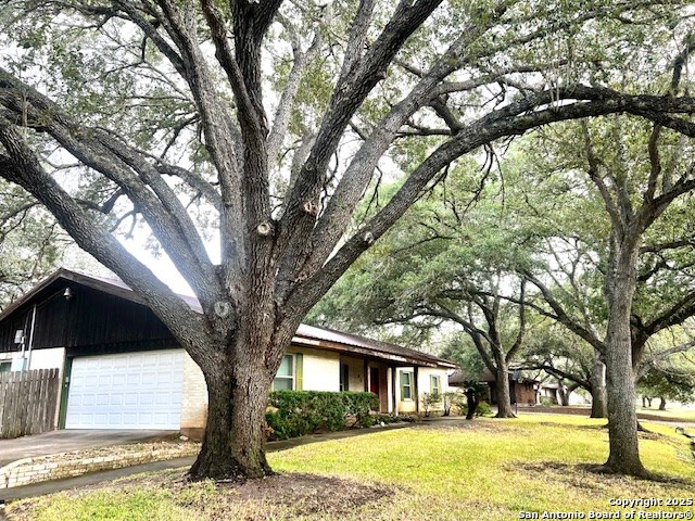 40 Encino Loma Property Photo 49