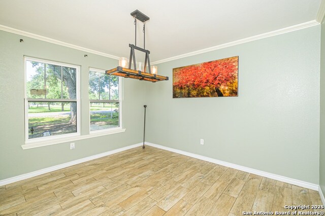1206 Johnson Property Photo 16