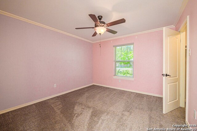 1206 Johnson Property Photo 30