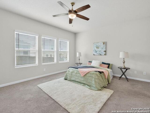 3637 Black Cloud Property Photo 9