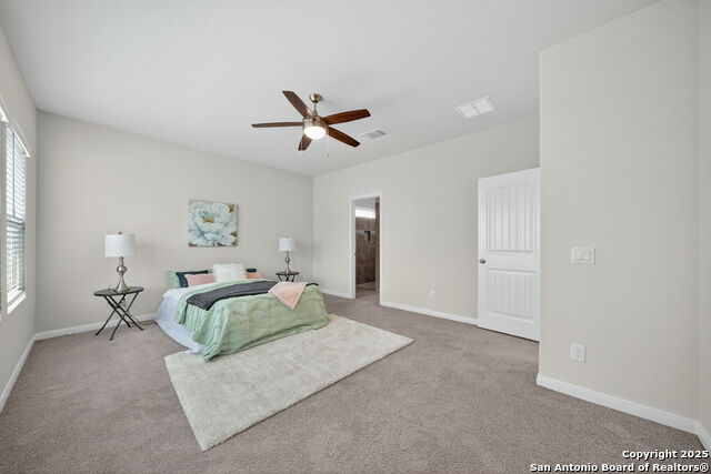 3637 Black Cloud Property Photo 10