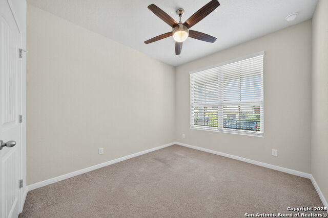 3637 Black Cloud Property Photo 17