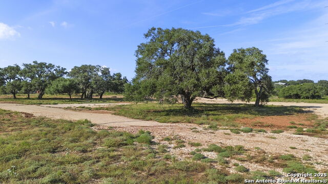 154 Lone Oak Property Photo 1