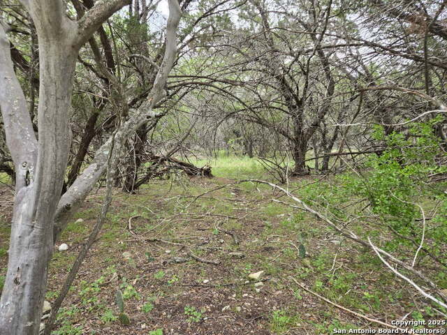370 Pr 3502 Property Photo 58