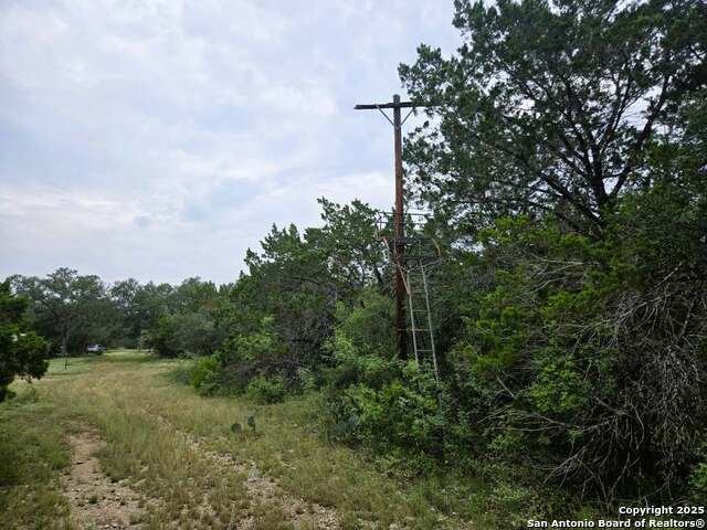 370 Pr 3502 Property Photo 59