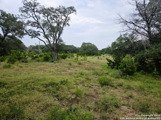 370 Pr 3502 Property Photo 60