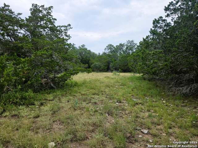 370 Pr 3502 Property Photo 61
