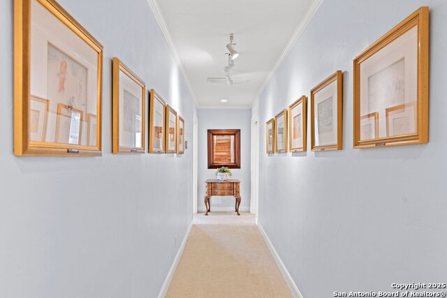 407 Spring Mill Property Photo 11