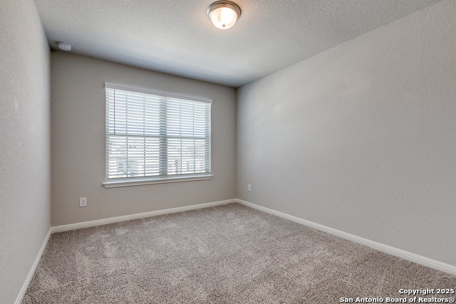 12938 Lilly Pass Property Photo 18