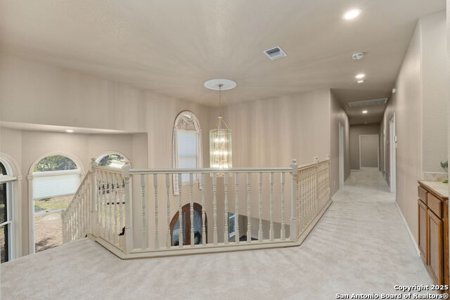 27618 Wild Bloom Property Photo 20