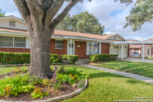 210 Downshire Property Photo 3