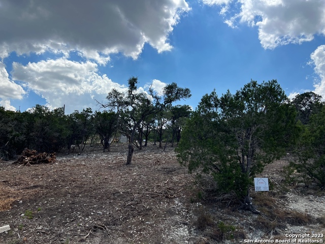 320 Lexington Pass Property Photo 1