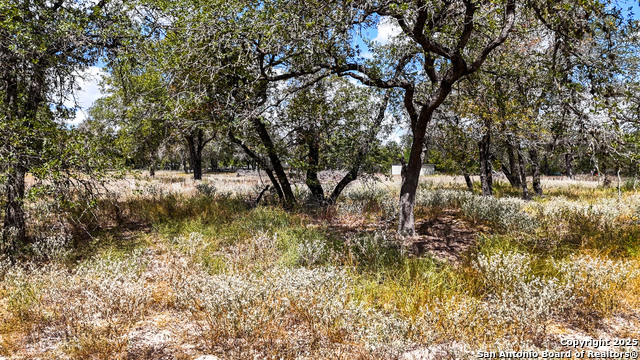 141 Oak Hill Property Photo 4