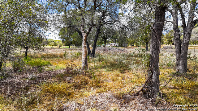 141 Oak Hill Property Photo 11