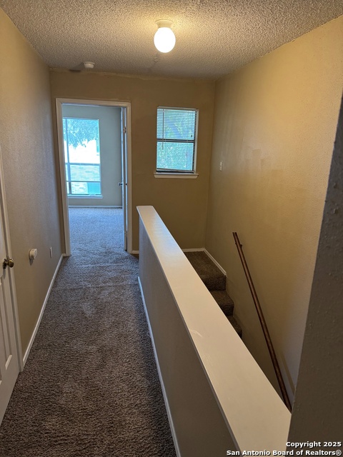 4903 Ali Ave Property Photo 25