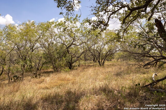 211 Halm Property Photo 11