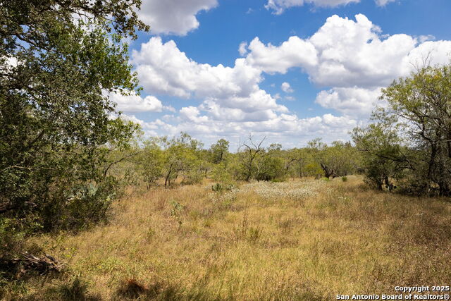 211 Halm Property Photo 12