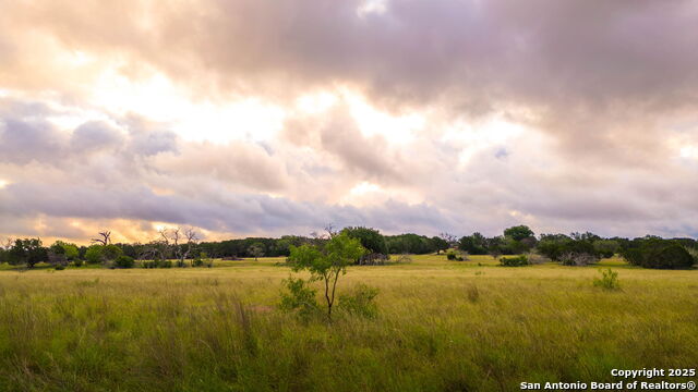 2186 Fm 470 Property Photo 6