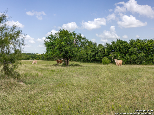 2186 Fm 470 Property Photo 20