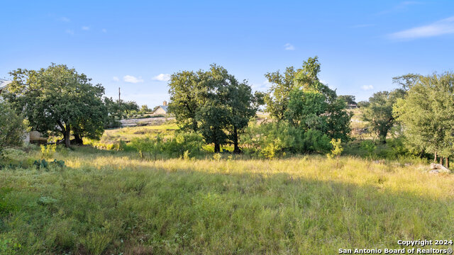 302 Lake Downs Property Photo 6