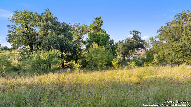 302 Lake Downs Property Photo 11