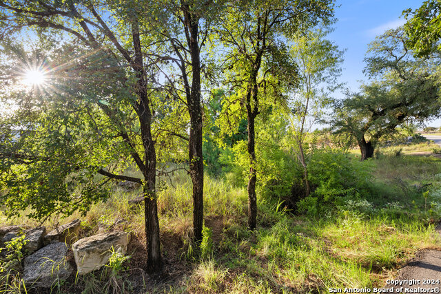 302 Lake Downs Property Photo 16