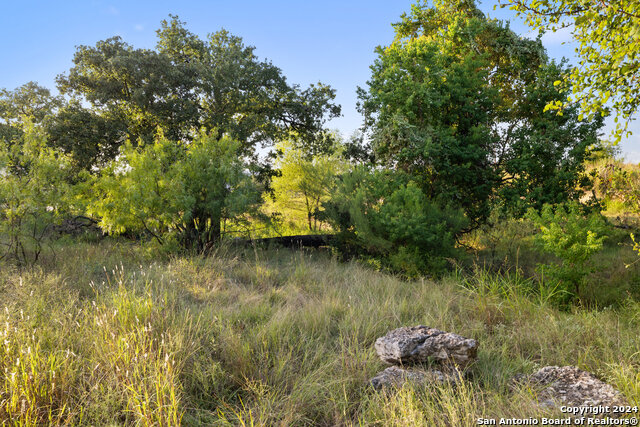 302 Lake Downs Property Photo 20