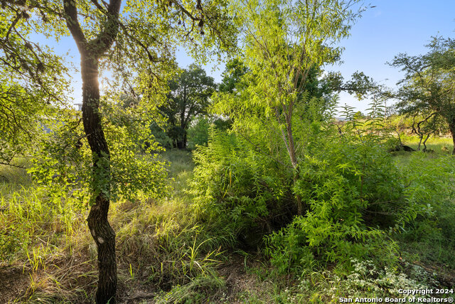 302 Lake Downs Property Photo 22