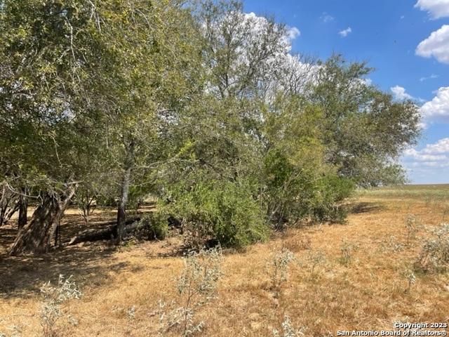 903 County Road 232 Property Photo 7