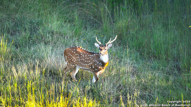 Far Hills Ranch Tract 3 Property Photo 19