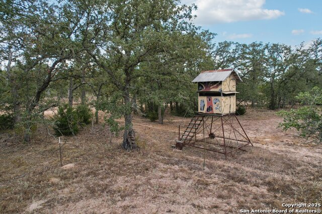 3001 Curry Property Photo 9