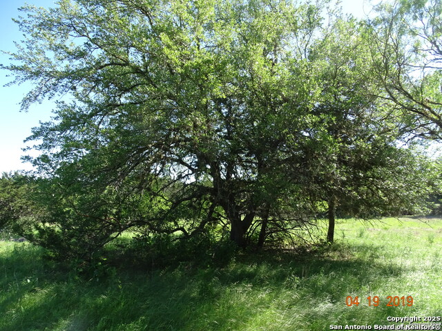 178 Bridlegate Blvd Property Photo 3