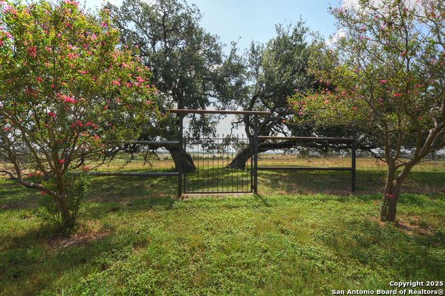 6887 Von Ormy Property Photo 36
