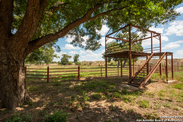 6887 Von Ormy Property Photo 40