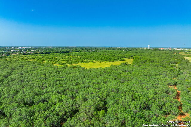 3911 County Road 1000 Property Photo 4