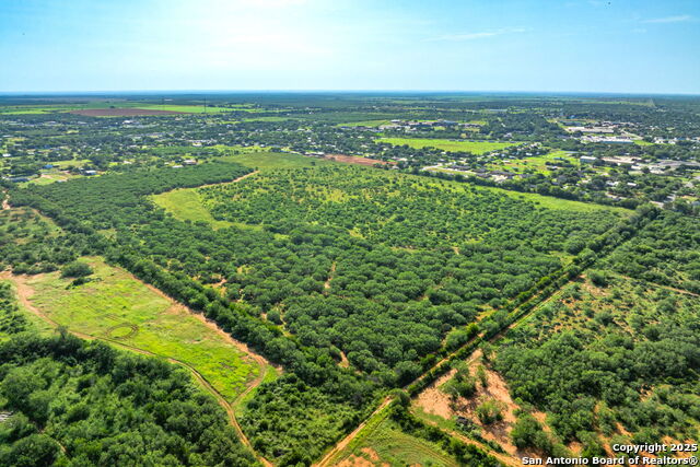 3911 County Road 1000 Property Photo 6