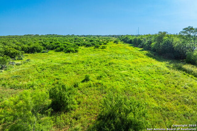 3911 County Road 1000 Property Photo 12