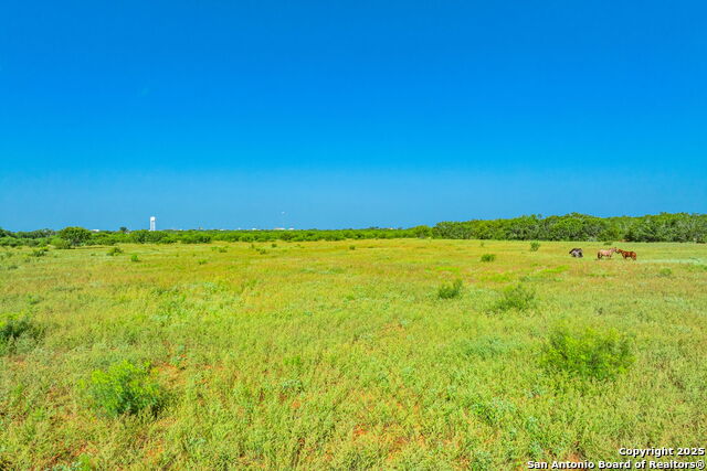 3911 County Road 1000 Property Photo 15