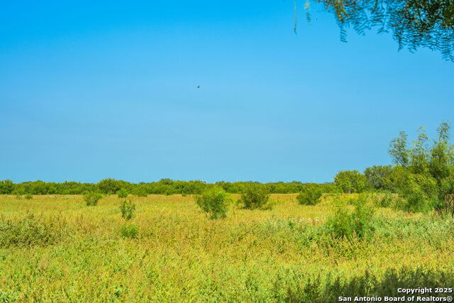 3911 County Road 1000 Property Photo 17