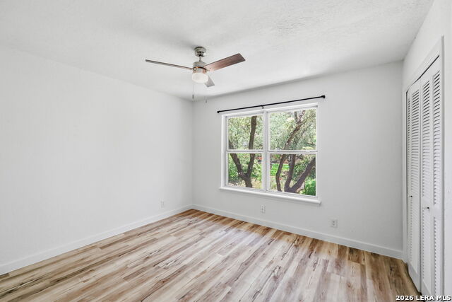 10806 Dreamland Property Photo 36