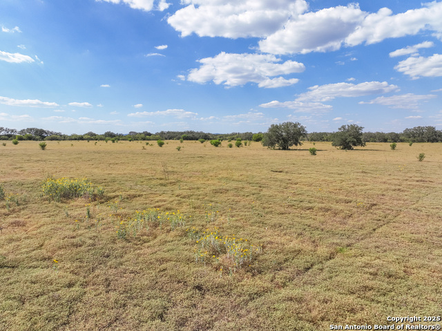 Tbd Lot 131 Utopia Oaks Property Photo 12