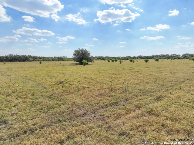 Tbd Lot 131 Utopia Oaks Property Photo 13