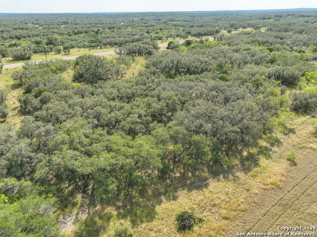 Tbd Lot 131 Utopia Oaks Property Photo 14